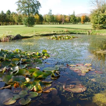 -cs-landscaping-garden-design-cheltenham-