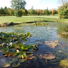 cs-landscaping-company-cheltenham-gloucestershire-